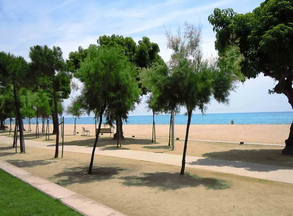 Camping Càmping Bellsol Pineda de Mar